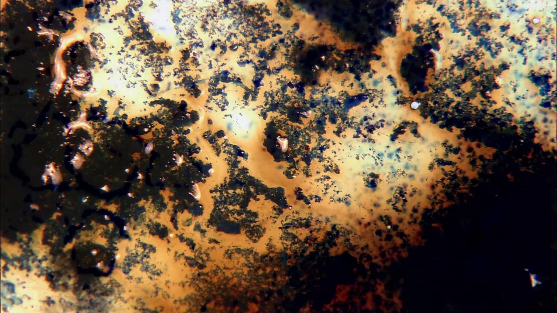 7 Great Experimental Short Films on Vimeo