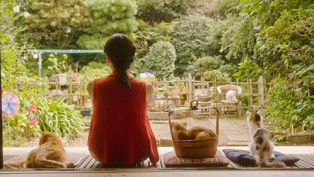 Women’s Day: Could there be holes that even the kindness of cats can’t fill? – Naoko Ogigami’s ‘Rent-a-cat’ (2012) and compassionate improbabilities