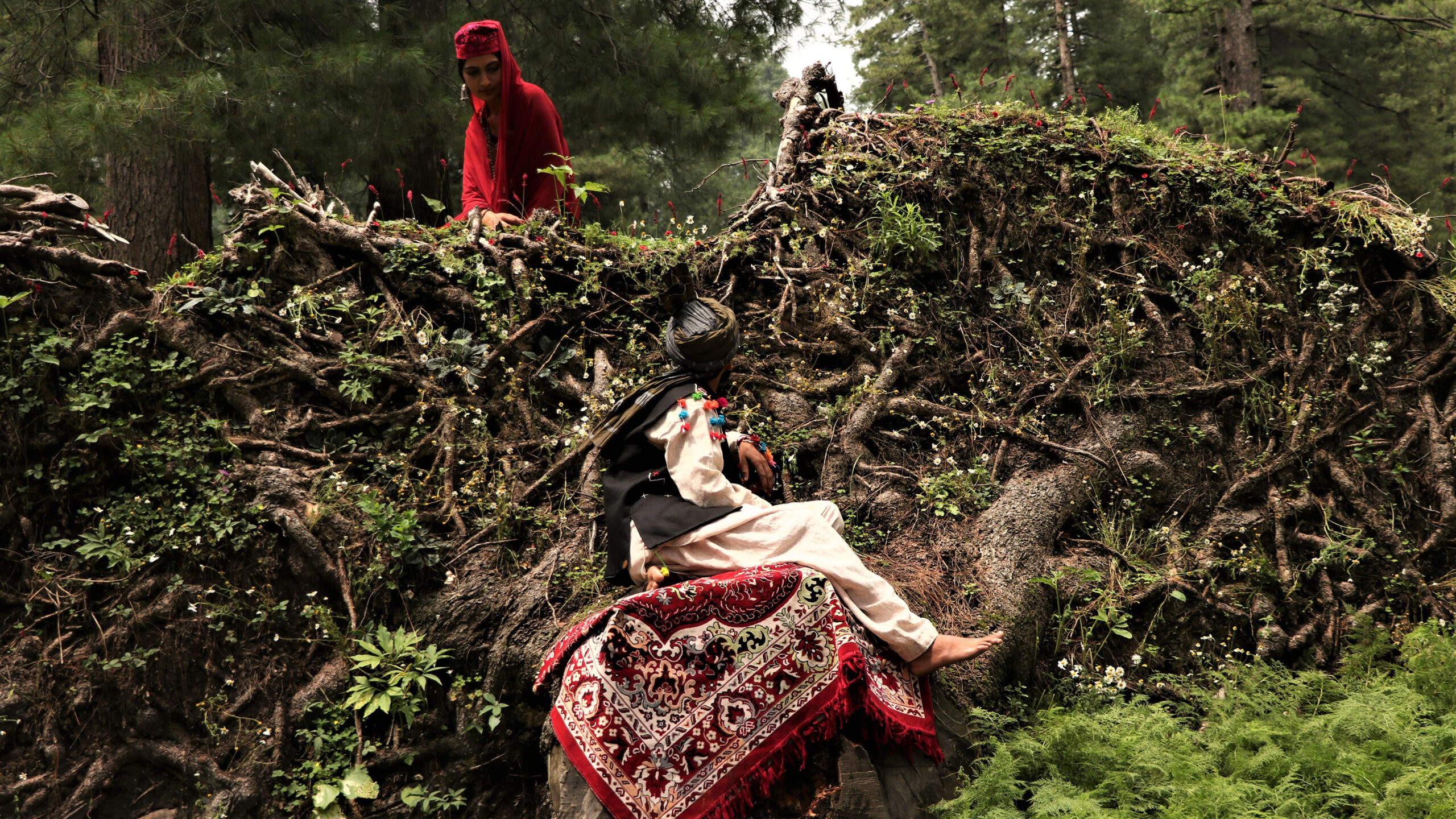 Berlinale 2020: “Maybe a singular mountain is a feeling,” an interview with Pushpendra Singh