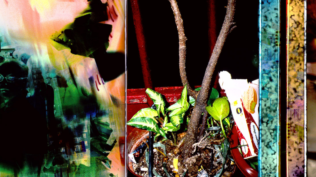 Revolutionizing Festivals – Notes on the First Virtual Ann Arbor Film Festival