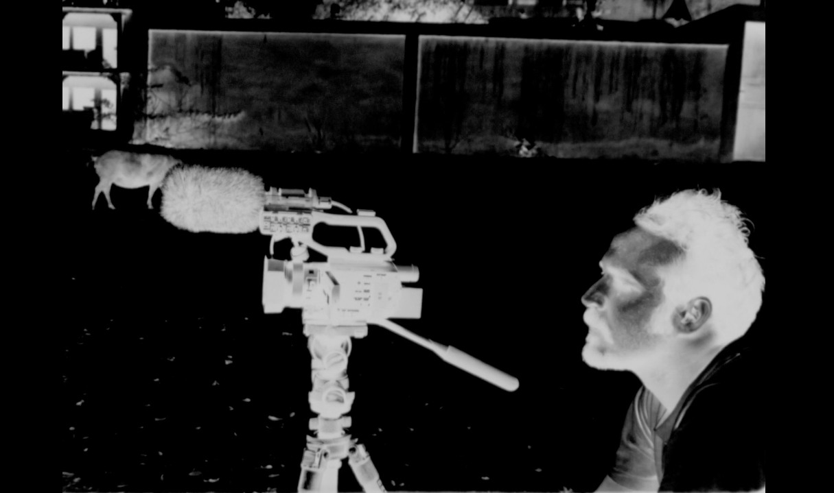 UDVFF 15: A Week with Luis Arnias