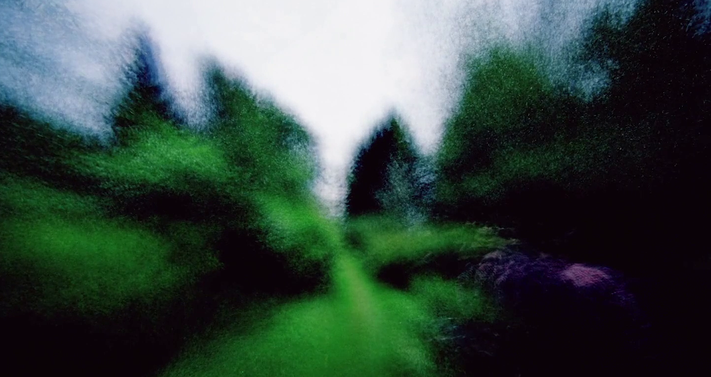 UDVFF: Special Screening #2 – ‘Driftwood’