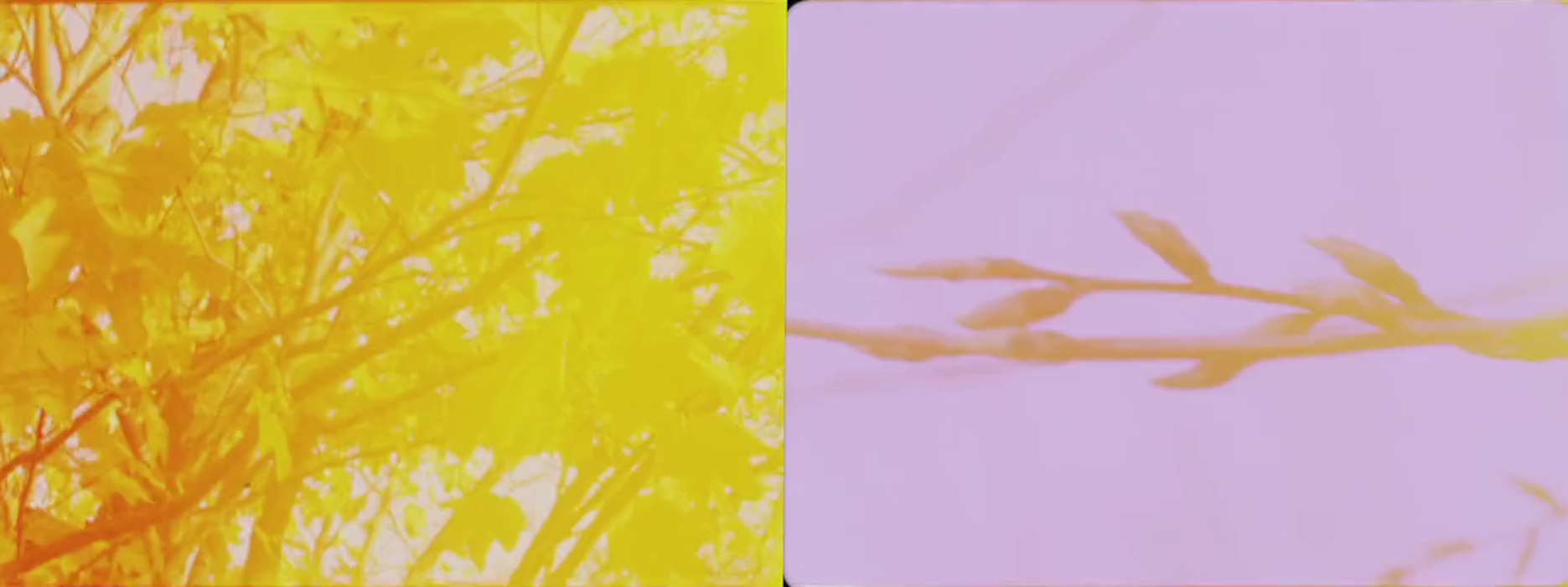 ‘Autumn Rush for Kurt Kren and Winter and Spring and Summer’ (2003) dir. Anna Thew