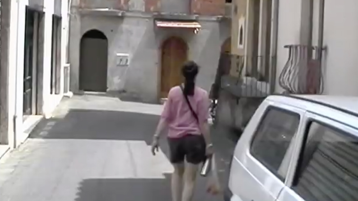 Translation: Raymond Bellour on ‘Flo Rounds a Corner’ (1999)