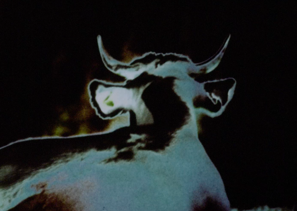 Movie Club #3: ‘Darkness, Darkness, Burning Bright’ (2022) by Gaëlle Rouard