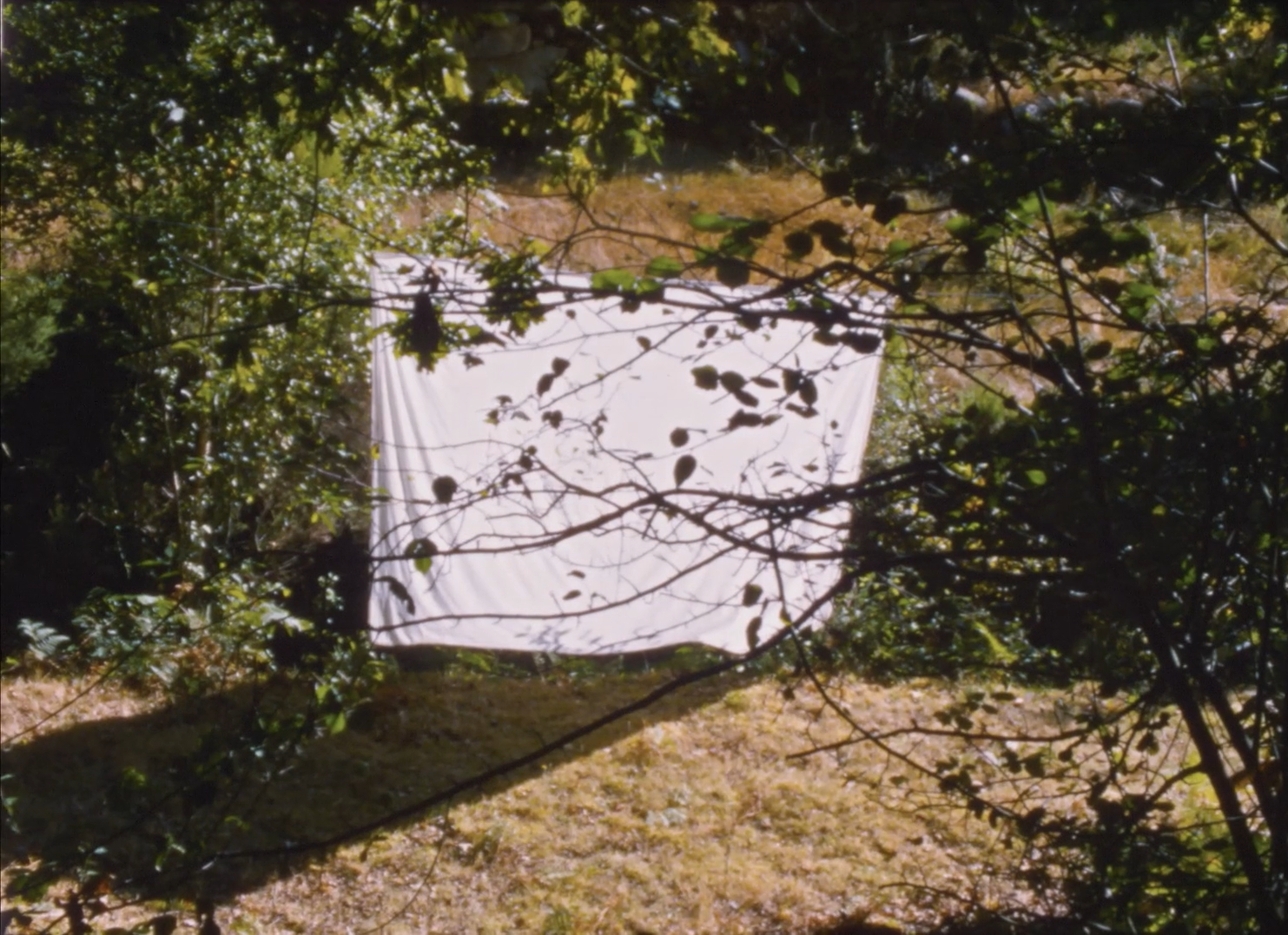 Colección Privada: The Super 8 and 16mm Scene in Spain