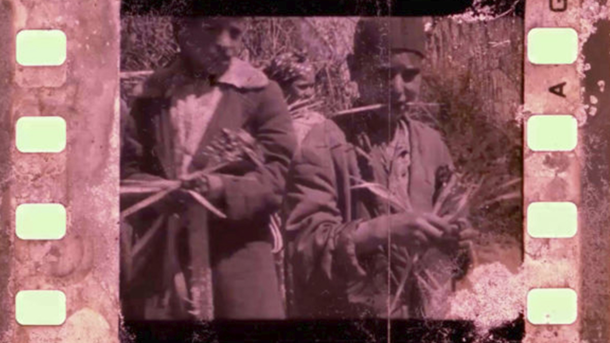 Gold, Blue and Lilac: The Films of Zineb Sedira