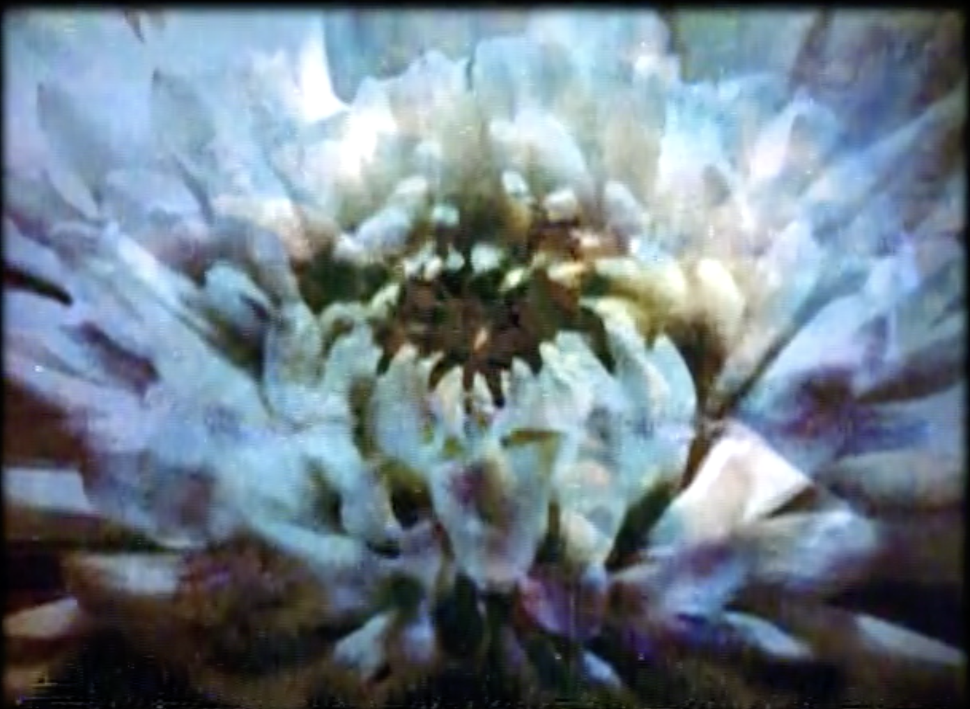 Looking for Clues: Mary Helena Clark’s First Films