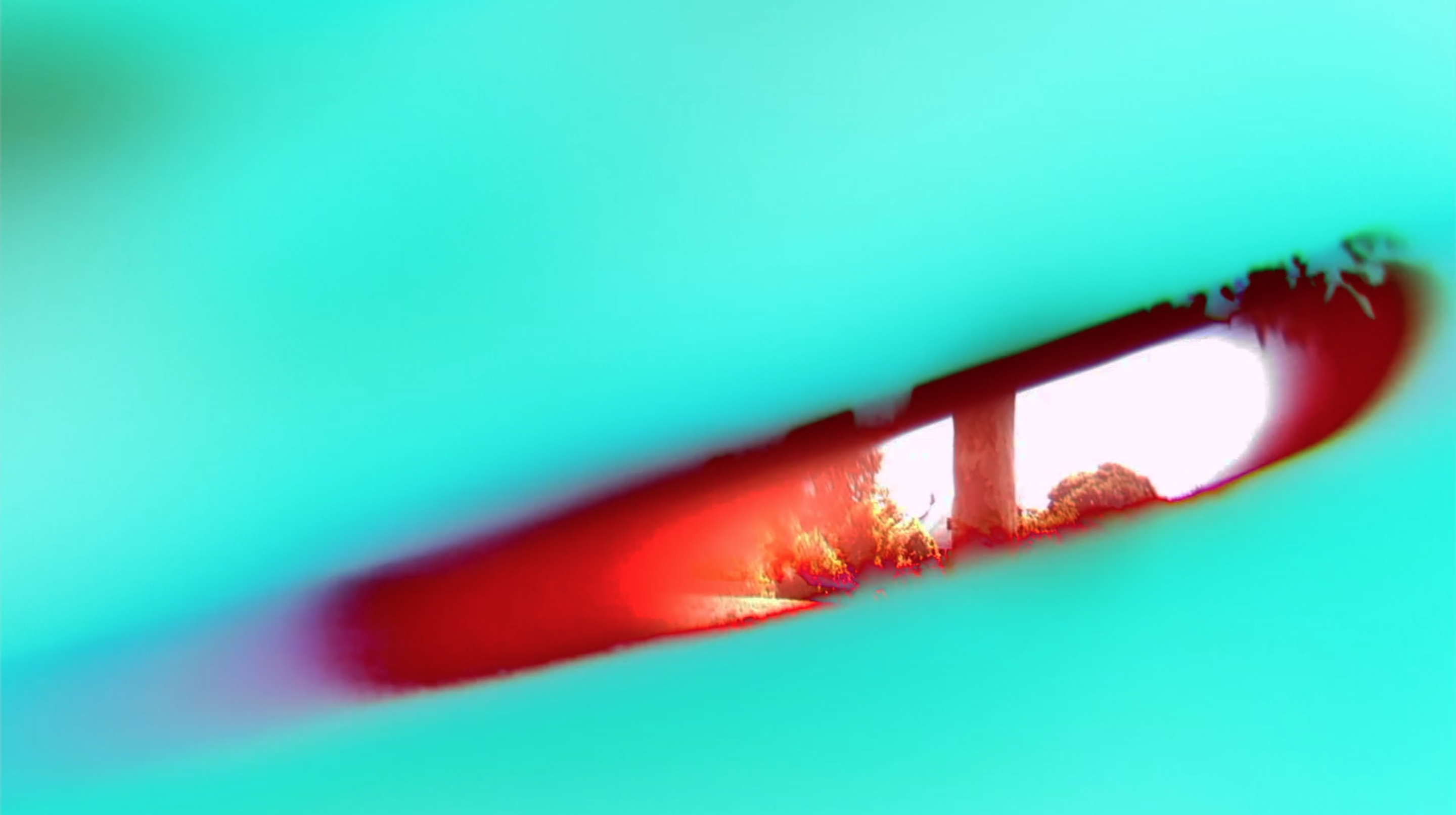 The Scale of Being: Linnea Nugent’s Haptic, Semi-Handmade Images